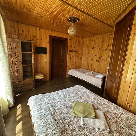 Dudarik 3* Kosiv