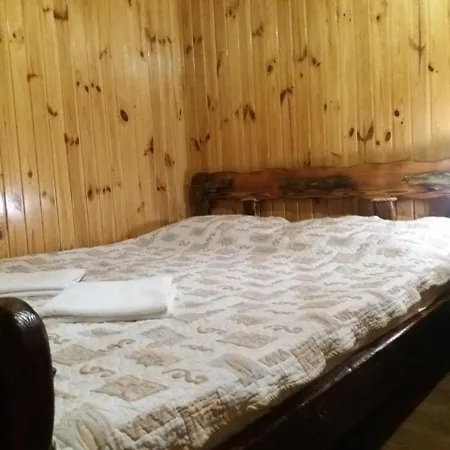 Hotel Dudarik Kosiv