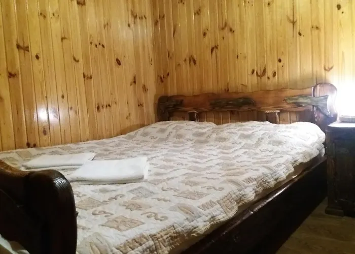 Hotel Dudarik Kossiv