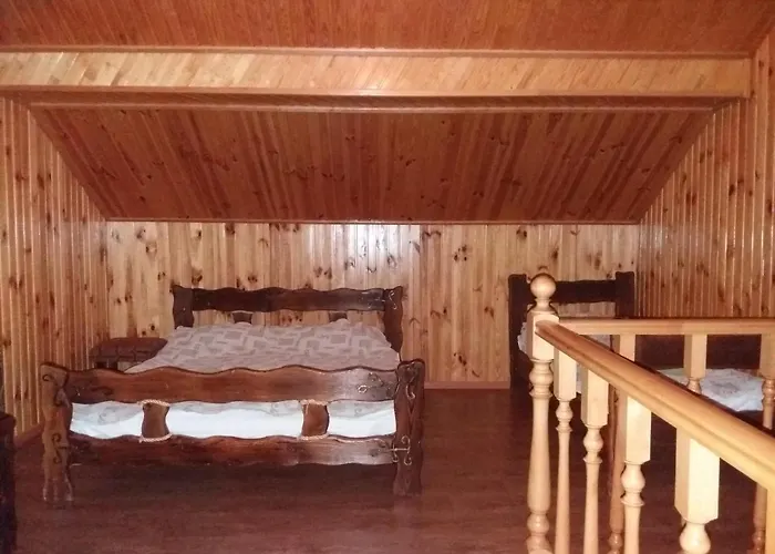 Dudarik 3*